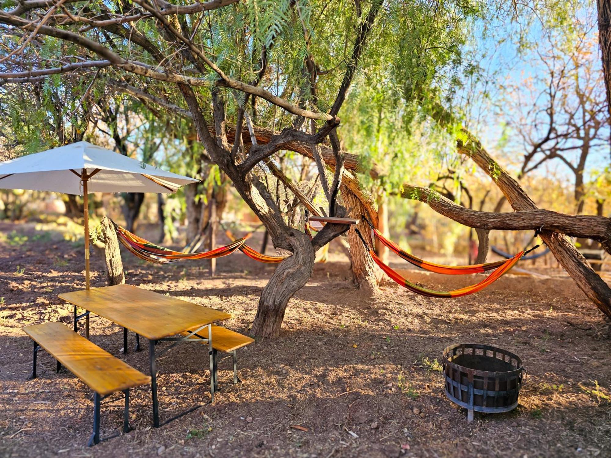 Lodge Ancar Atacama サン・ペドロ・デ・アタカマ エクステリア 写真